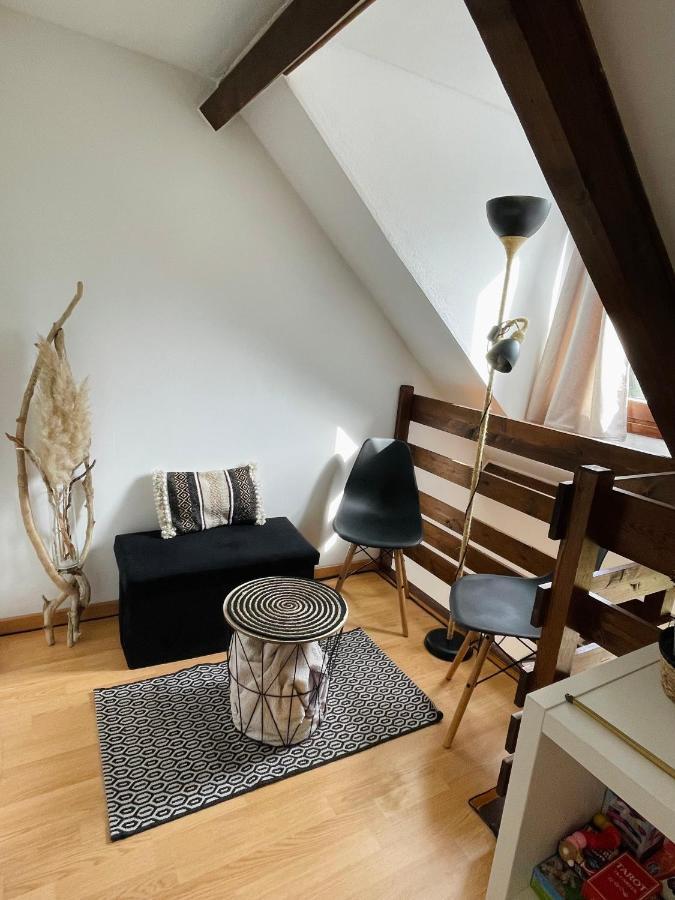 Duplex Du Pailhet, T3 Neuf, Vue Montagne, Parking, Navette Et 2 Velos A Disposition Gratuitement Bagneres-de-Luchon Exterior photo